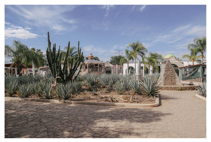 Cathedrals of Mezcal