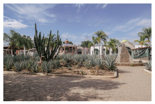 Cathedrals of Mezcal