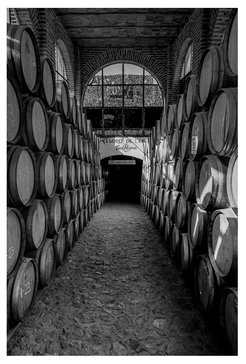 Barrel's Nest
