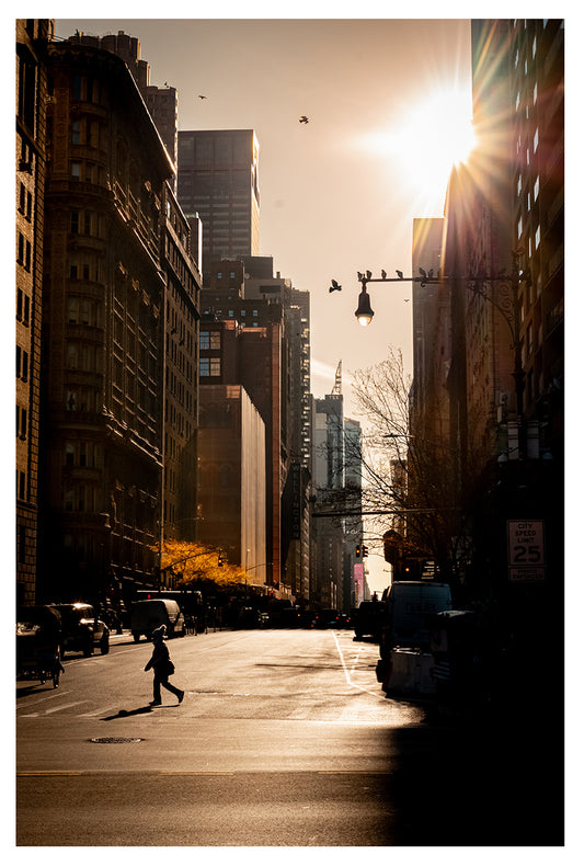 The Morning Glow in Midtown (C)