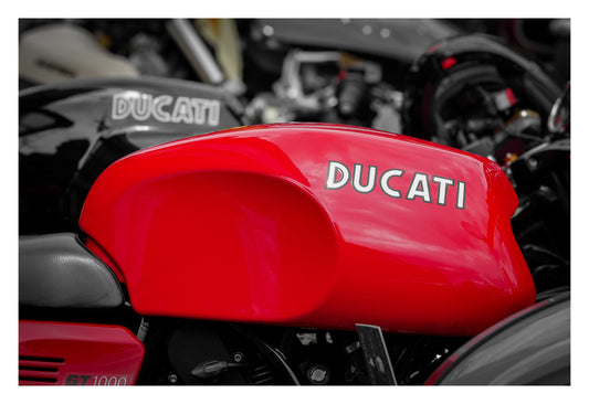 Ducati GT1000