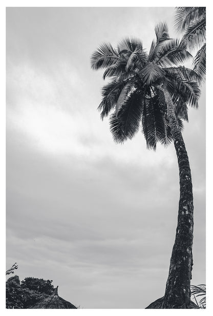Sunset Palms inn Miami