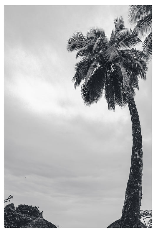 Sunset Palms inn Miami