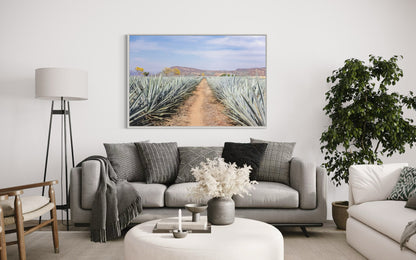 Agave Highway