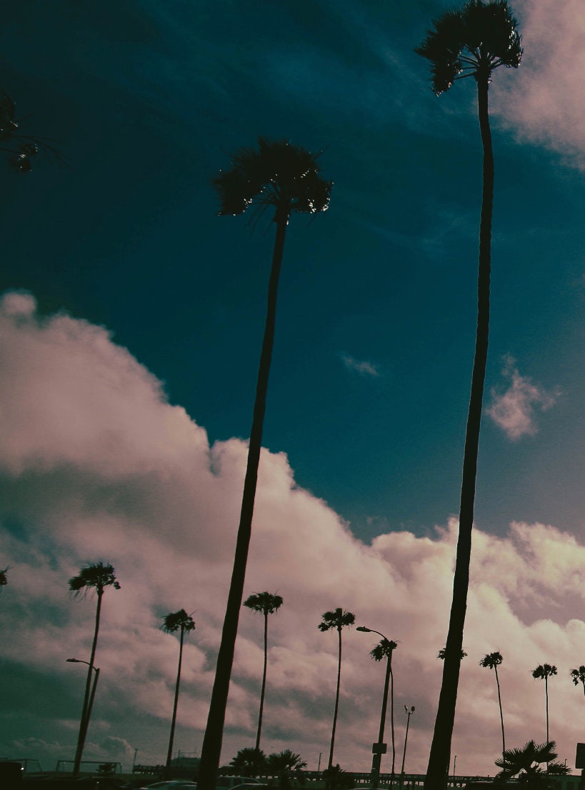 Venice Beach Sunset Art Print: Sunkissed Palm Silhouettes & Colorful Sky - Pink Yellow Sepia Hues for Vibrant Room Accents
