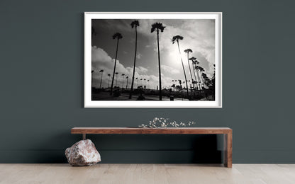 California Palm Trees Black and White Photography Print, Fine Art Sunset Landscape, Minimalist Monochrome Wall Art, Limited Edition Decor