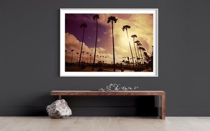 Golden Sunset Palms Fine Art Print  California Coastal Landscape Photography, Retro Sunset Wall Art, Minimalist Nature Decor