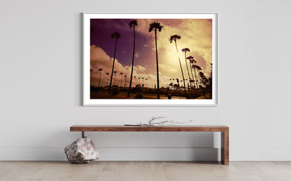 Golden Sunset Palms Fine Art Print  California Coastal Landscape Photography, Retro Sunset Wall Art, Minimalist Nature Decor
