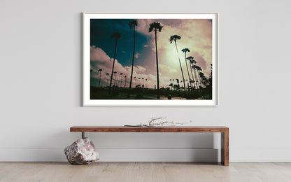 Venice Beach Sunset Art Print: Sunkissed Palm Silhouettes & Colorful Sky - Pink Yellow Sepia Hues for Vibrant Room Accents