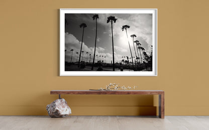 California Palm Trees Black and White Photography Print, Fine Art Sunset Landscape, Minimalist Monochrome Wall Art, Limited Edition Decor