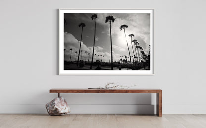 California Palm Trees Black and White Photography Print, Fine Art Sunset Landscape, Minimalist Monochrome Wall Art, Limited Edition Decor