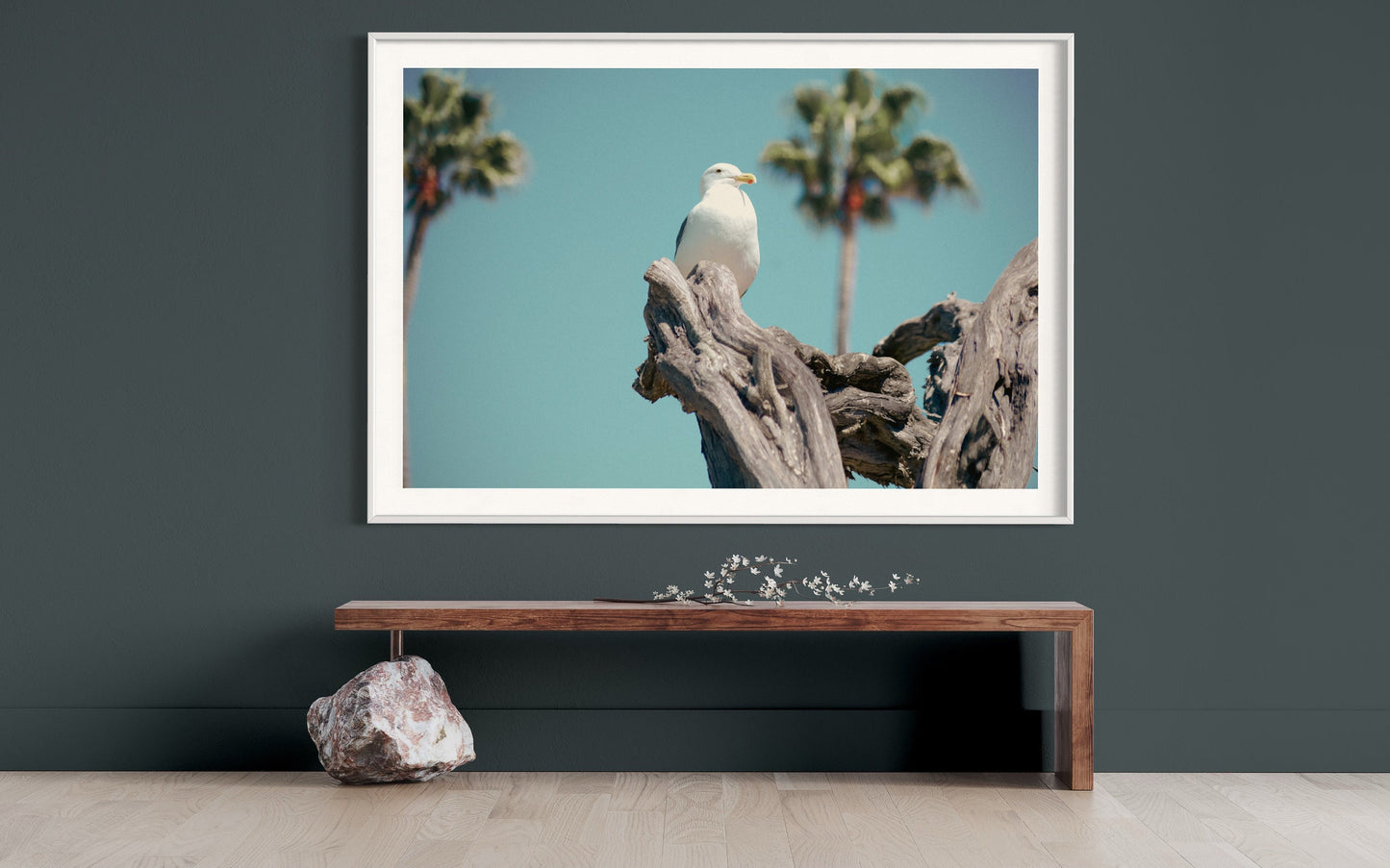 Fine Art Print - Seagull Coastal Wall Art - Minimalist Bird Photography Print, Aqua and Driftwood Beach Decor, California Miami Home Art