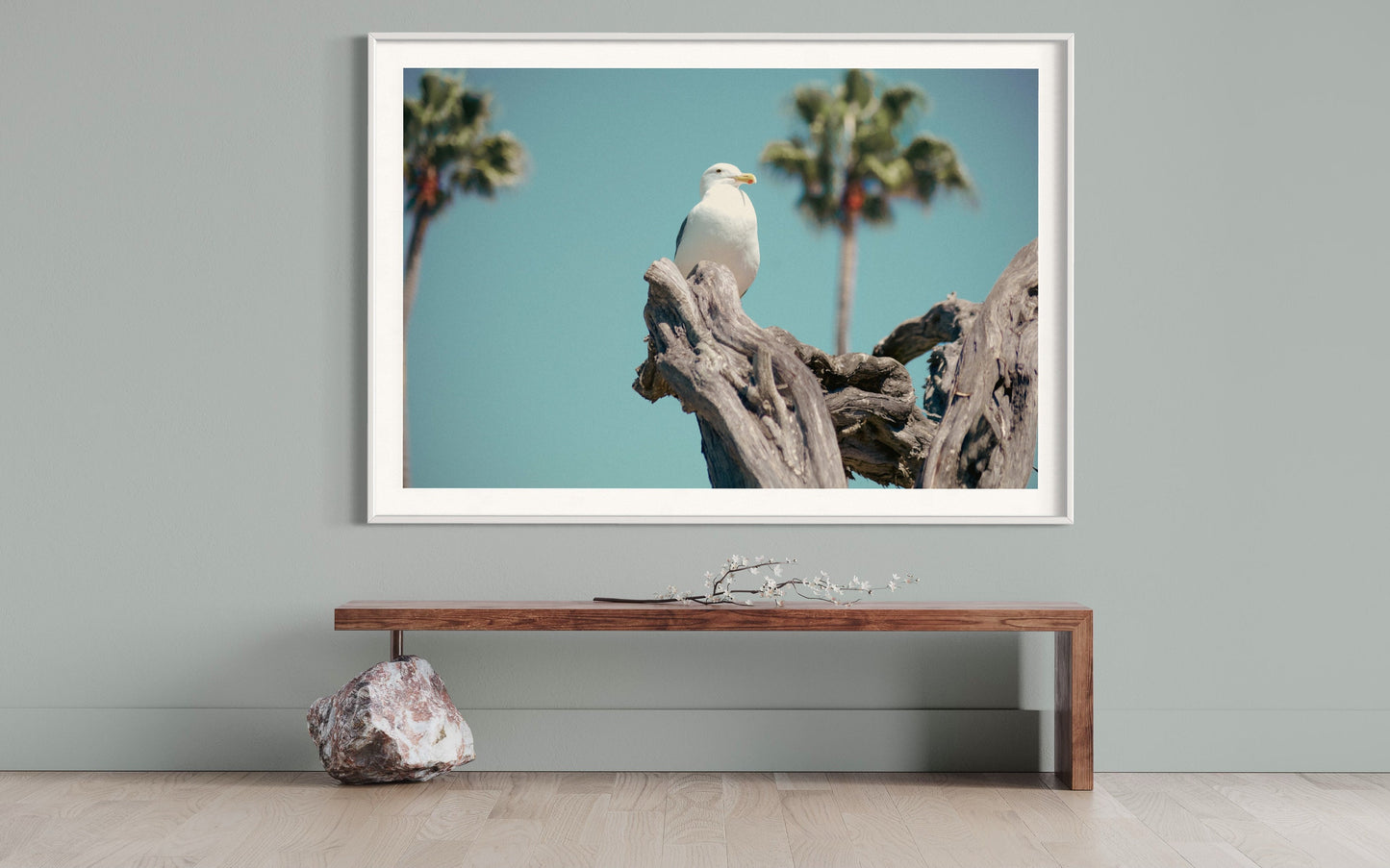 Fine Art Print - Seagull Coastal Wall Art - Minimalist Bird Photography Print, Aqua and Driftwood Beach Decor, California Miami Home Art