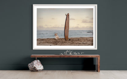 Fine Art Print - Sunset Dog Surf Buddy Wall Art - Beach Print-  Puppy Surf Print, Housewarming Gift, Pet Lovers, Surf Coastal Decor