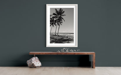 Tropical Palm Trees on Cabarete Beach, Dominican Republic - Black White Fine Art Photography Print photo poster