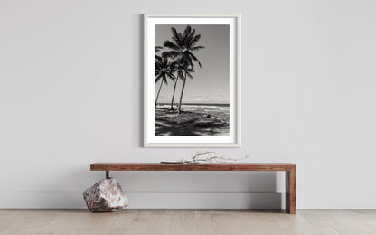 Tropical Palm Trees on Cabarete Beach, Dominican Republic - Black White Fine Art Photography Print photo poster