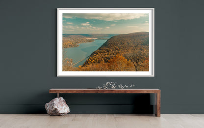 Autumn Whispers - Hudson River Nature's Fall Palette in Sunlight - Botanical Photography Print Modern Wall Art - Upstate New York