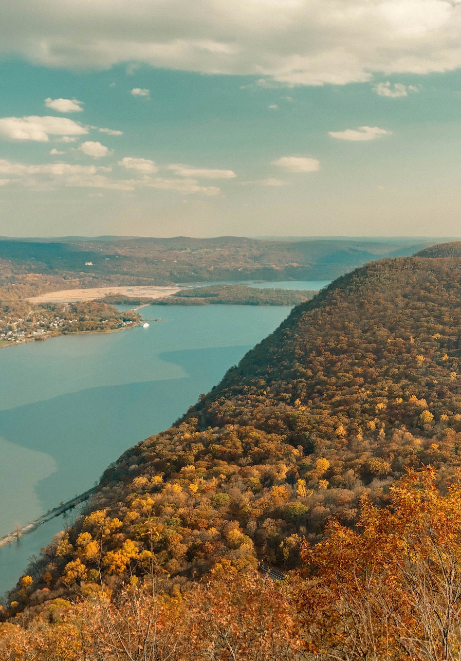 Autumn Whispers - Hudson River Nature's Fall Palette in Sunlight - Botanical Photography Print Modern Wall Art - Upstate New York