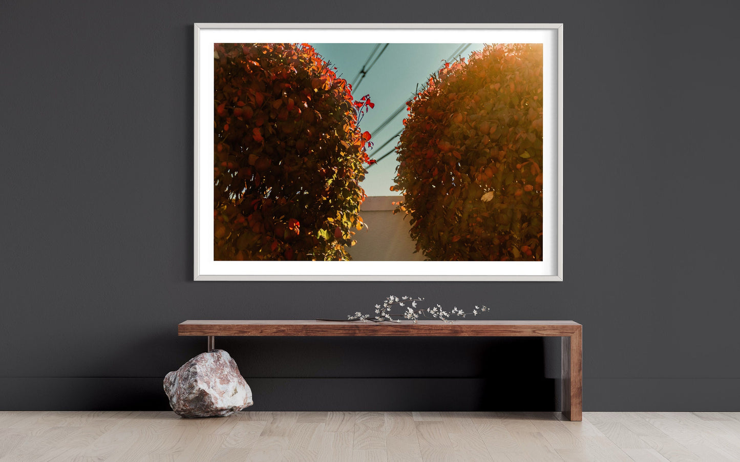Autumn Whispers - Nature's Fall Palette in Sunlight - Botanical Photography Print Modern Wall Art