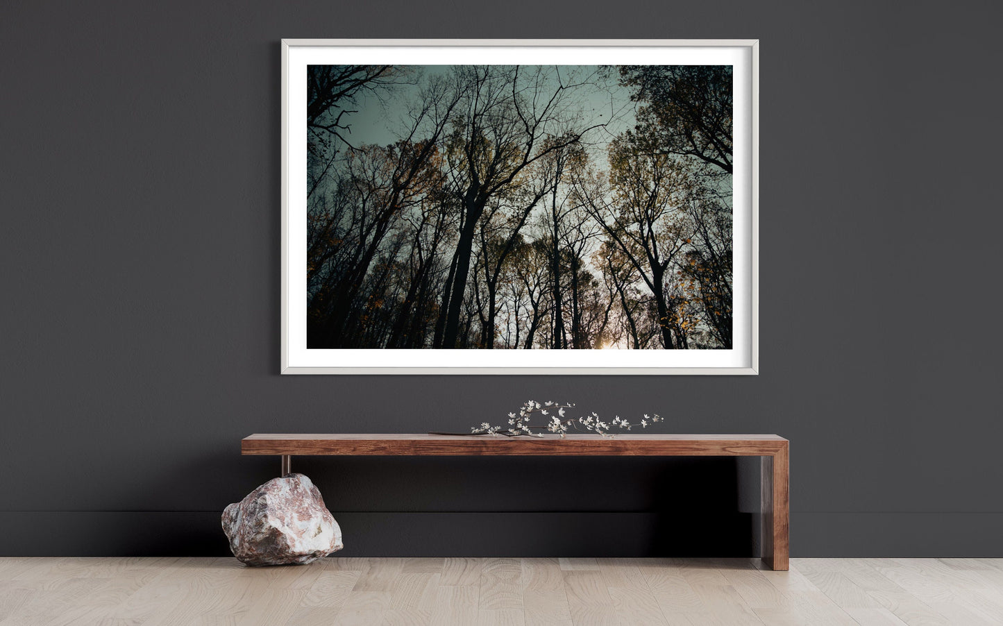 Twilight Canopy - Sunset Through Autumn Trees - Enchanted Forest Photography Print Wall Art Poster Decor