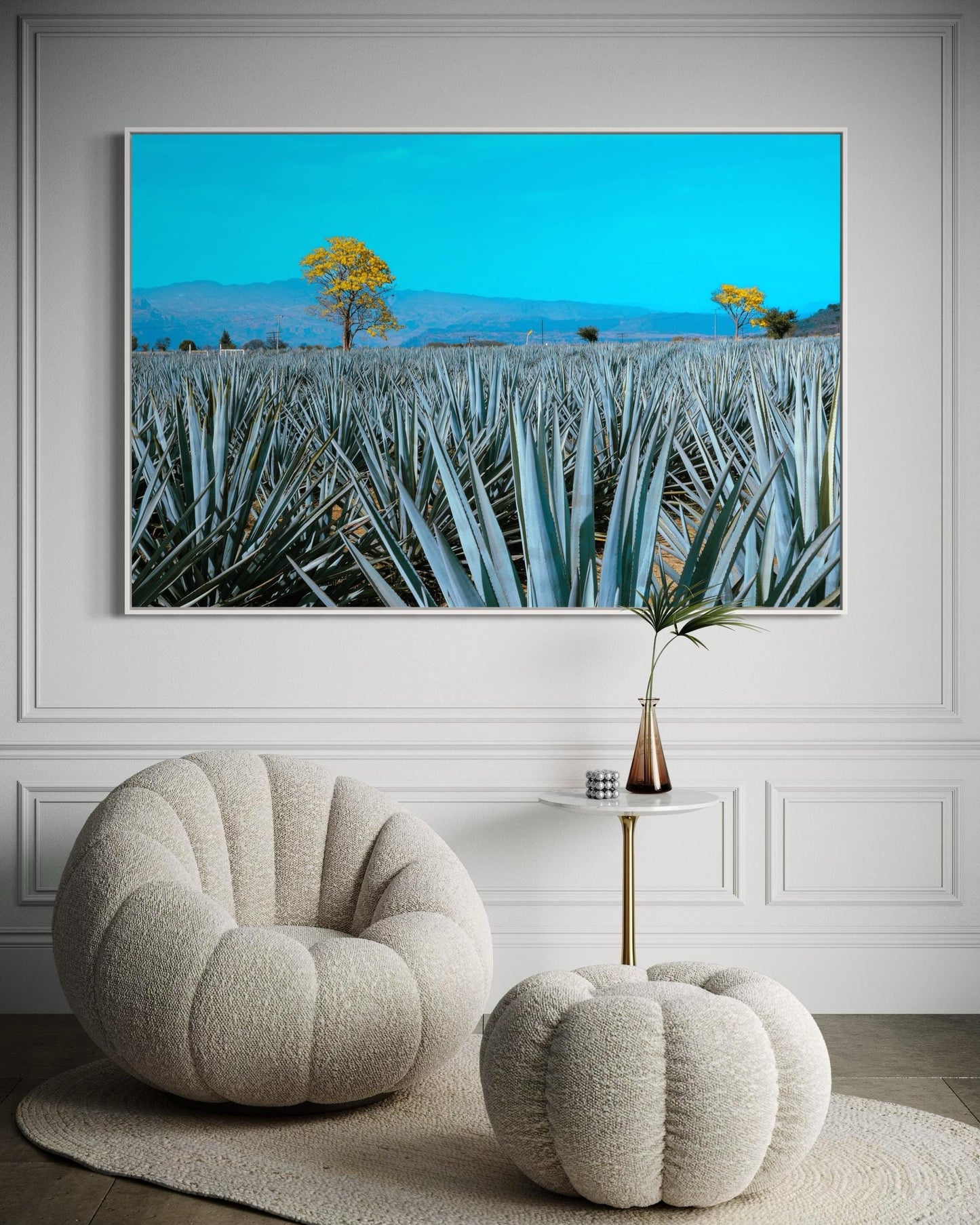 Golden Blue Agave