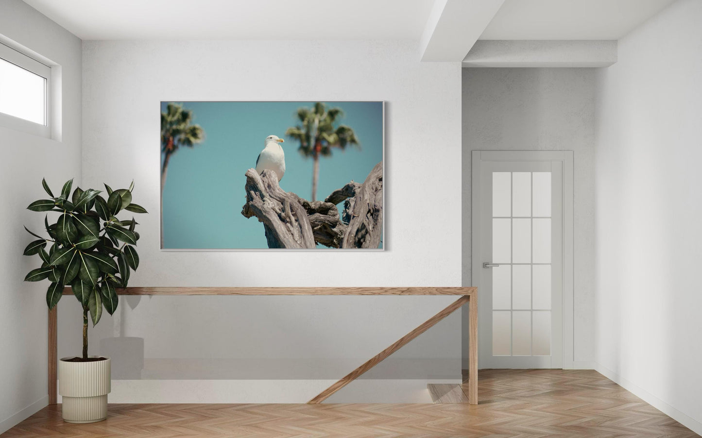 Fine Art Print - Seagull Coastal Wall Art - Minimalist Bird Photography Print, Aqua and Driftwood Beach Decor, California Miami Home Art