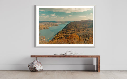 Autumn Whispers - Hudson River Nature's Fall Palette in Sunlight - Botanical Photography Print Modern Wall Art - Upstate New York