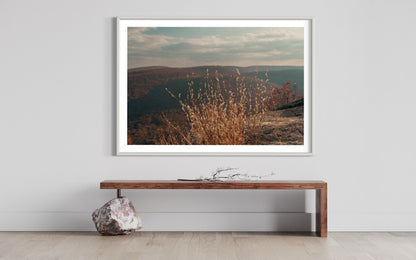 Fine Art Print - Golden Grasses Overlook Wall Art Print, Landscape Mountain Wall Art Photography, Autumn Nature Decor, Rustic Fall Season