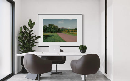 Fine Art print - Winery Road Landscape Wall Art, Landscape Nature Photo, Upstate New York Perfect for Farmhouse or Dining Room Decor, gift