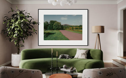 Fine Art print - Winery Road Landscape Wall Art, Landscape Nature Photo, Upstate New York Perfect for Farmhouse or Dining Room Decor, gift