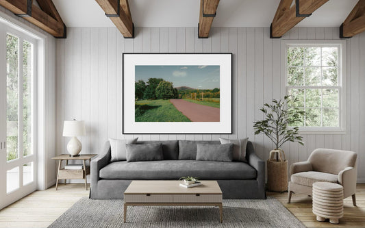 Fine Art print - Winery Road Landscape Wall Art, Landscape Nature Photo, Upstate New York Perfect for Farmhouse or Dining Room Decor, gift