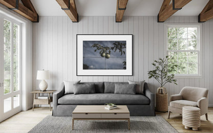 Fine Art Print - Pear Orchard Wall Art, Kitchen Wall Decor, Dining Room, Farmhouse, Poster, Housewarming Gift, Rustic, Home Decor