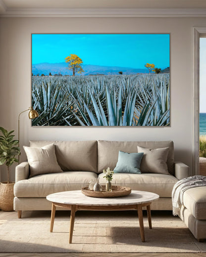 Golden Blue Agave