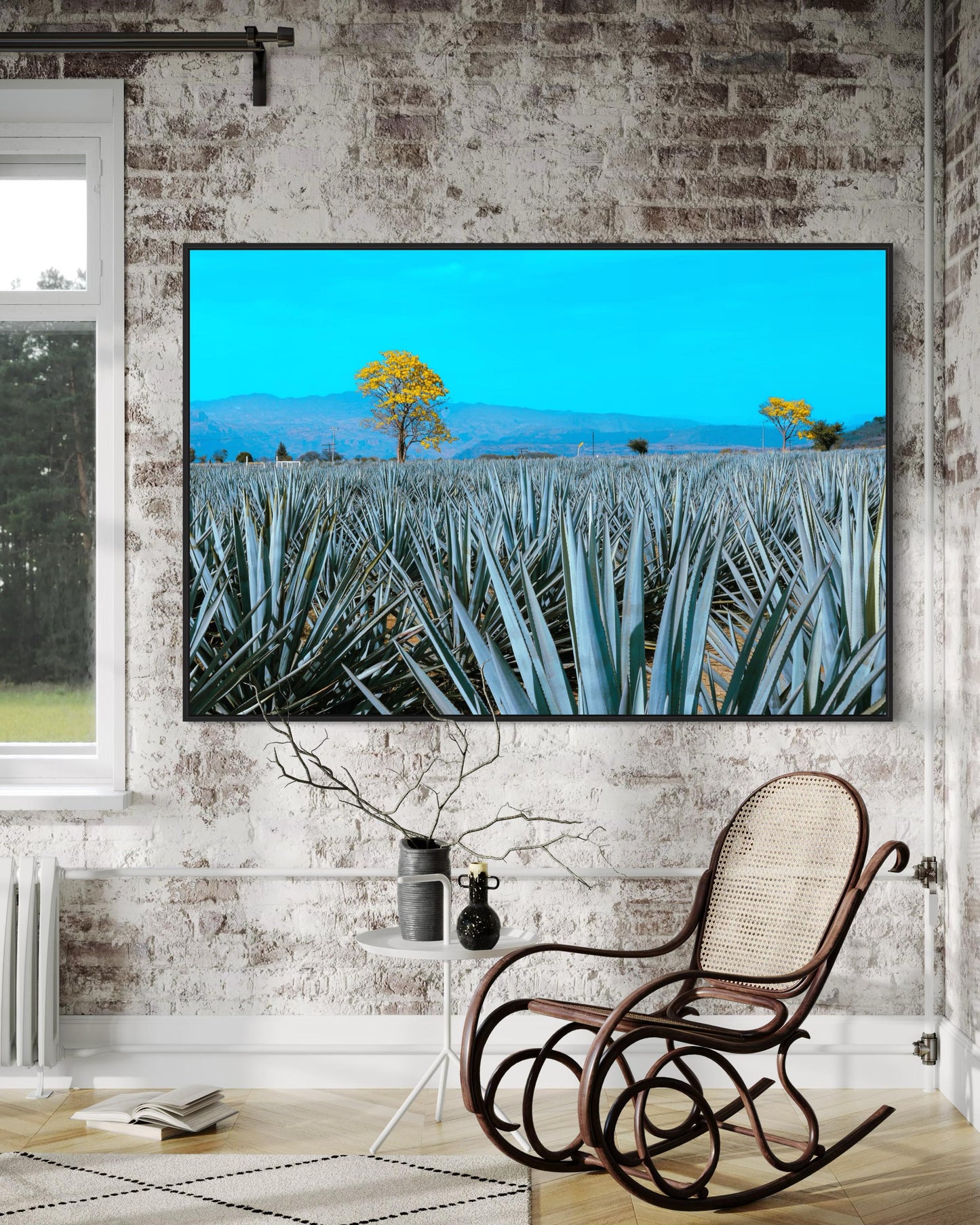 Golden Blue Agave