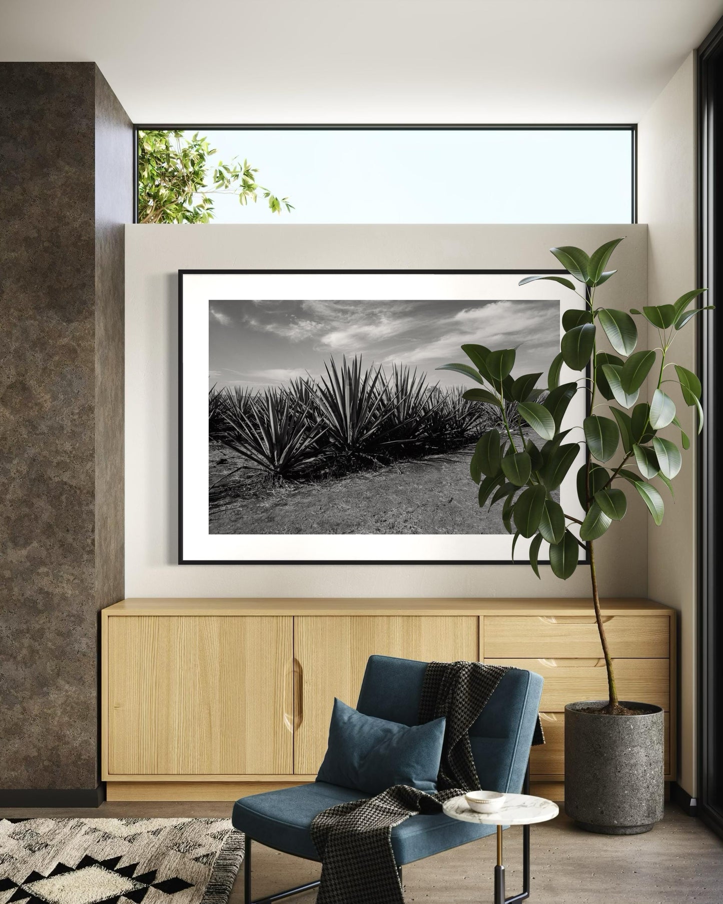 Monochrome Agave