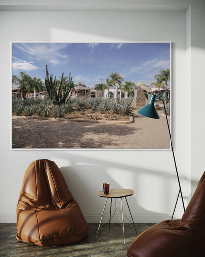 Cathedrals of Mezcal