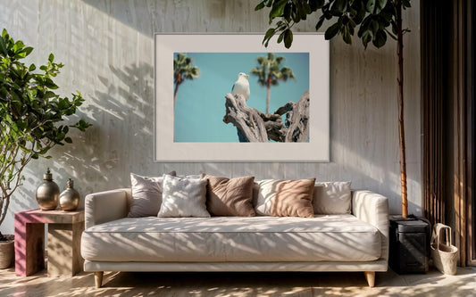 Fine Art Print - Seagull Coastal Wall Art - Minimalist Bird Photography Print, Aqua and Driftwood Beach Decor, California Miami Home Art