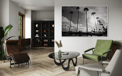 California Palm Trees Black and White Photography Print, Fine Art Sunset Landscape, Minimalist Monochrome Wall Art, Limited Edition Decor