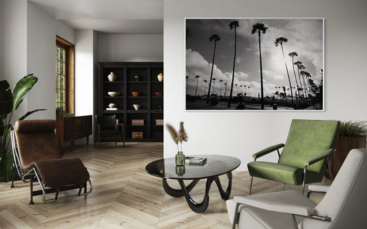 California Palm Trees Black and White Photography Print, Fine Art Sunset Landscape, Minimalist Monochrome Wall Art, Limited Edition Decor