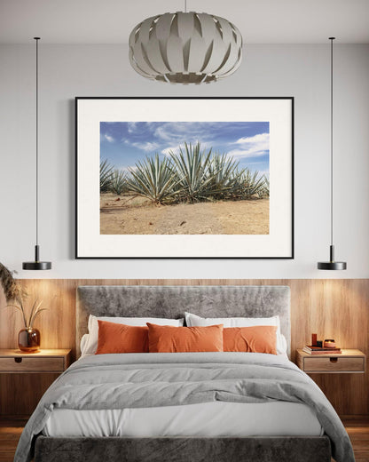 Blue Agave Crown
