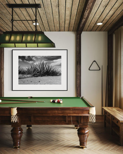 Monochrome Blue Agave