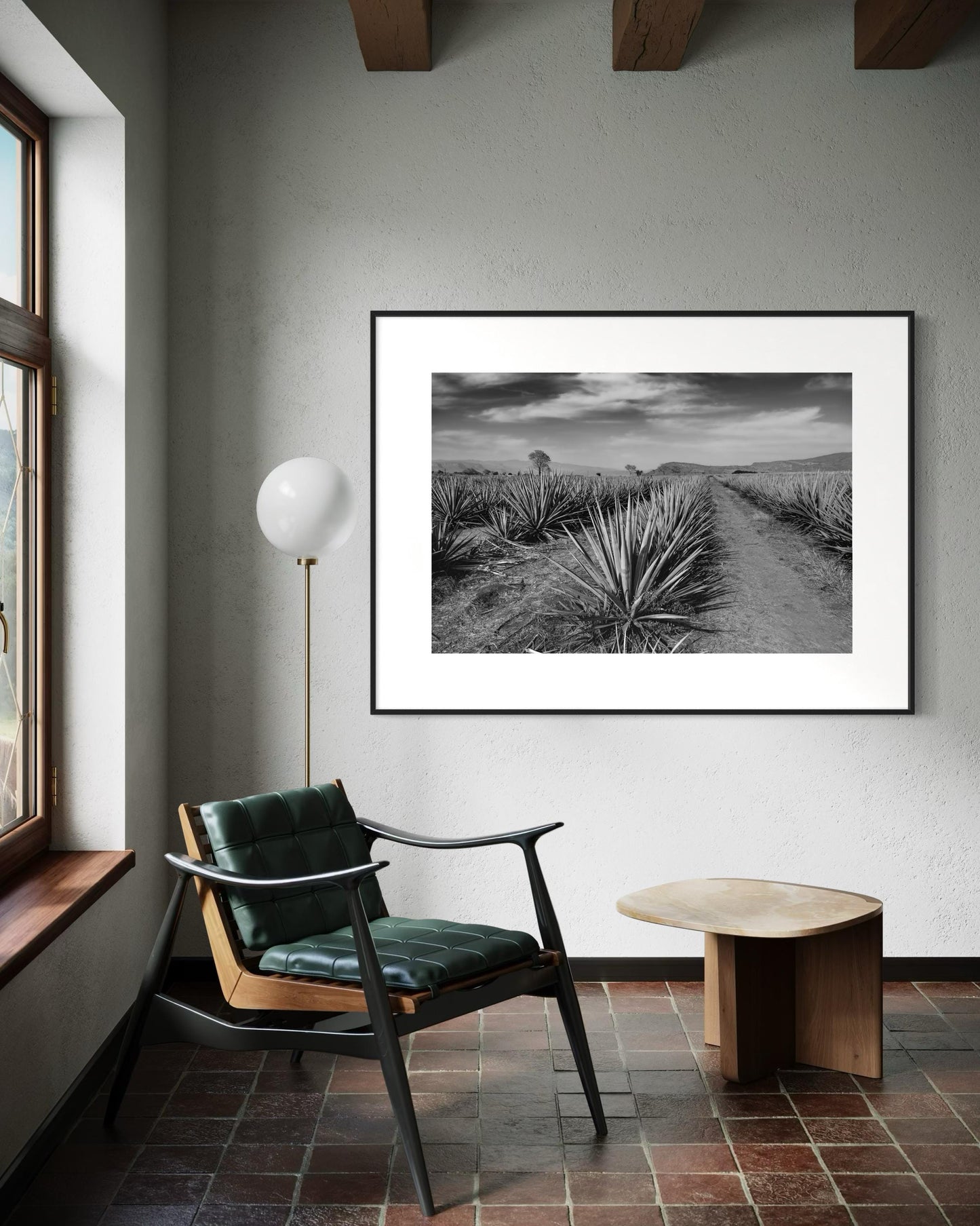 Monochrome Agave Field