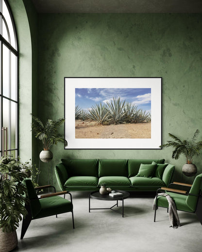 Blue Agave Crown