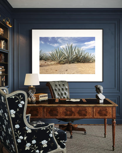 Blue Agave Crown
