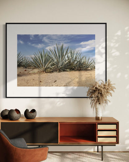 Blue Agave Crown