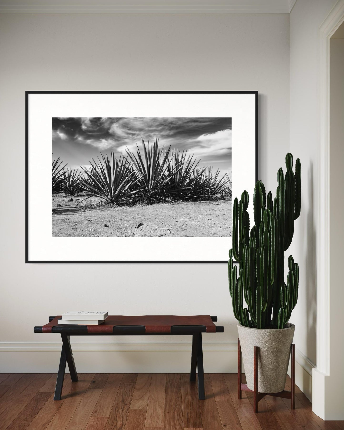 Monochrome Blue Agave