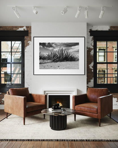 Monochrome Blue Agave