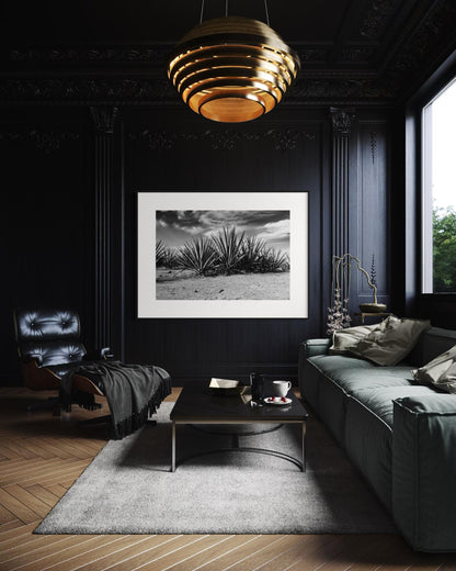 Monochrome Blue Agave