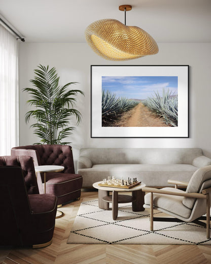 The Road to Agave