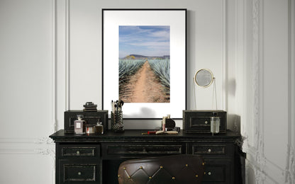 AGAVE HIGHWAY